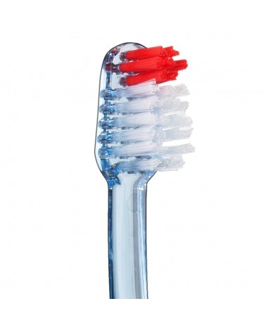 Cepillo VITIS® Accesss Duro